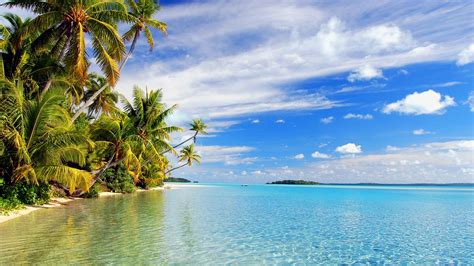 Wallpaper Tropical Beach 1920x1200 Hd Picture Image