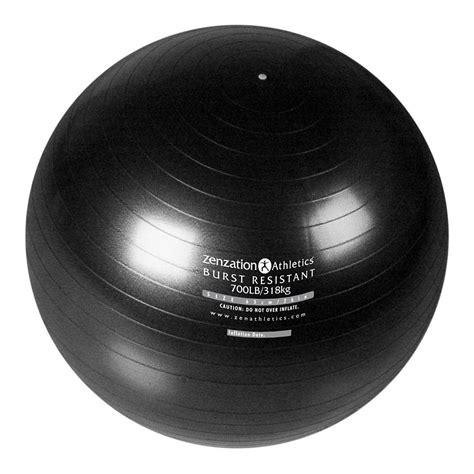 Bosu Ball Bosu Trainer Wfree Shipping At Road Runner Sports