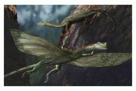 Ancient Long Necked Gliding Reptile Discovered Newswise News For Journalists