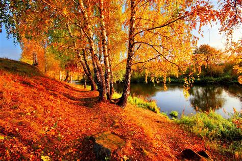 Banco De ImÁgenes Paisajes Naturales Las Mejores Fotos Fondos Gratis