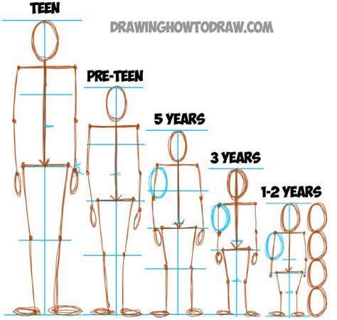 Figure Drawing Step By Step At Drawing Tutorials