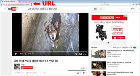 Maybe you would like to learn more about one of these? Como baixar videos do Youtube sem instalar programas