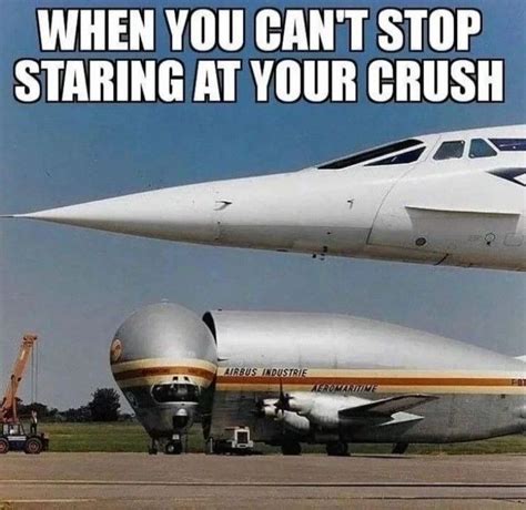 The Best Concorde Memes Memedroid