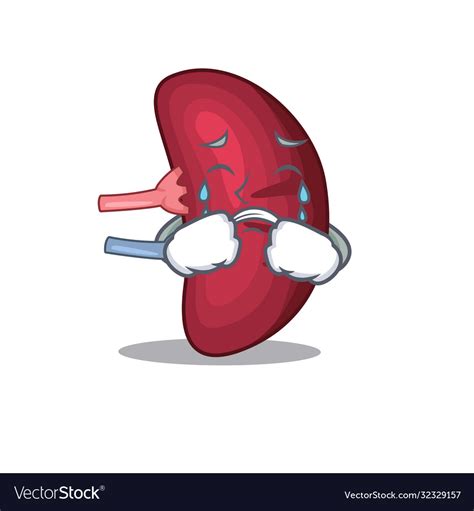 Spleen Cartoon Spleen Anatomy Icon Cartoon Style Spleen Anatomy Icon