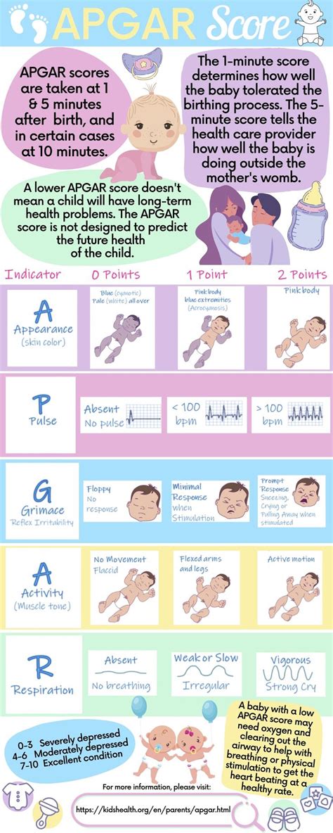 Apgar Score Apgar Score Midwifery After Birth