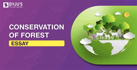 Conservation Of Forest Essay Conservation Of Forest And Wildlife For
