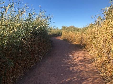 Clark County Wetlands Park Las Vegas 2019 All You Need To Know