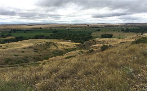 Protecting Native Mixed Grass Prairie At Little Bighorn Battlefield