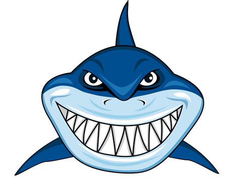 Shark Cartoon Png Free Logo Image
