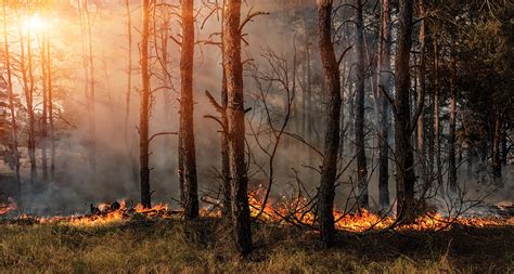 Reminder Wildfire Season Underway Wisconsin Dnr