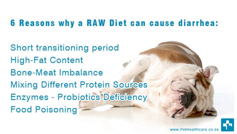 All designed to provide your dog with a natural diet as nature intended. 6 Reasons That Will Cause Diarrhea In Raw Eating For Dogs ...