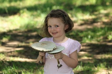 Cute Little Girl Holding Mushrooms Free Stock Photo