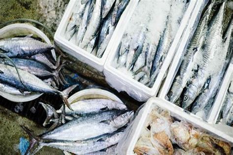 All'estremità del porto di hout bay, in un capannone. Sales of MSC UK fish and seafood hit £1bn mark | News ...