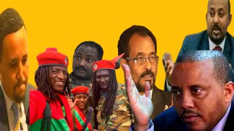 Oduu Hatattama Oduu Arifachisa Magalan Maqale Humnaqilensa Ethiopiatin