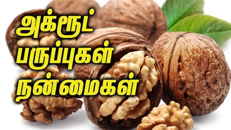 Some words in tamil language are pronounced same but has different meaning. Health Benefits Of walnuts || அக்ரூட் பருப்புகள் நன்மைகள் ...