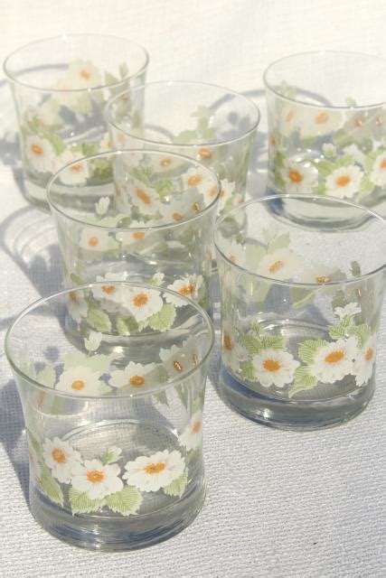 Retro Daisies Vintage Glass Tumblers Old Fashioned Lowball Drinking Glasses Daisy Print