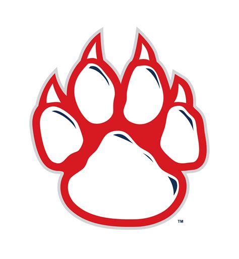 Wildcat clipart cheetah, Wildcat cheetah Transparent FREE for download