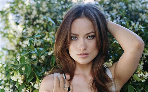 Olivia Wilde Full Hd Wallpaper And Background Image 1920x1200 Id407981