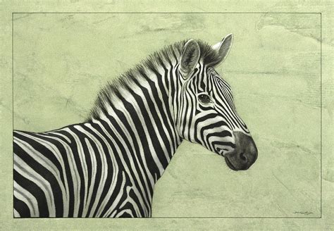 Zebra Painting By James W Johnson Fine Art America