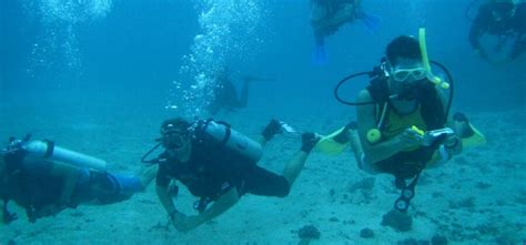 Marine Conservation Expedition in Fiji Jobs - Conservation Careers in
