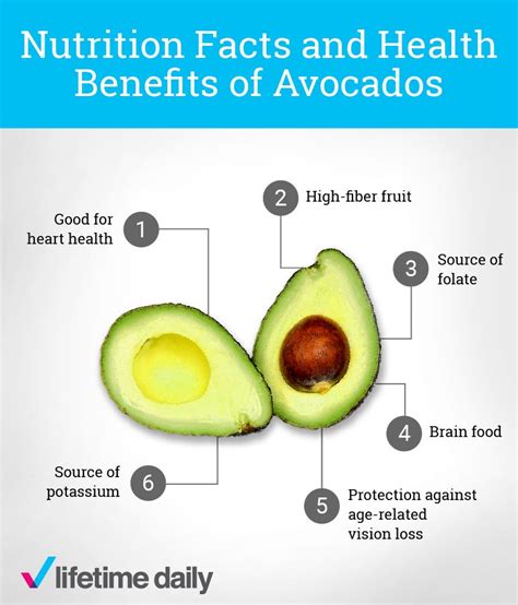 Whats The Nutritional Value Of An Avocado Lifetime Daily