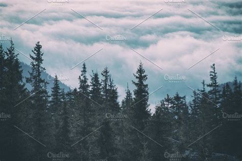 Morning Mountain Landscape Containing Forest Fog And Travel