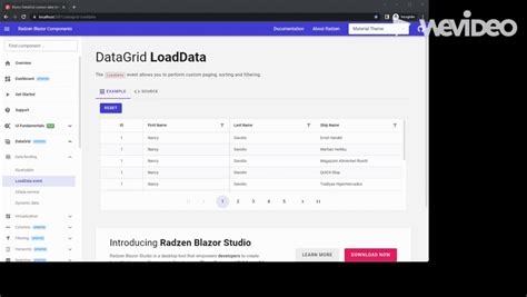 How To Properly Use Custom Filtering By Id In Datagrid Radzen Blazor