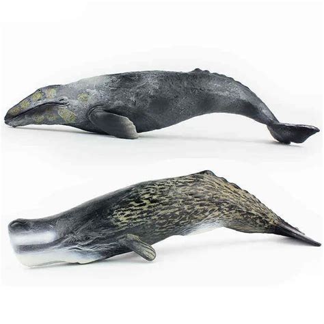 Tomy 30cm Simulation Marine Creature Whale Model Sperm Whale Gray Whale