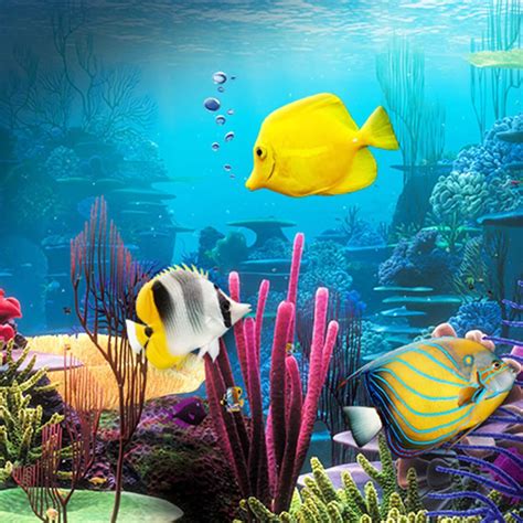 Arab, uk, usa, india, europe, latin, sports, entertainment, movies, kids, series, adults. Aquarium Hintergrundbilder für Android - APK herunterladen
