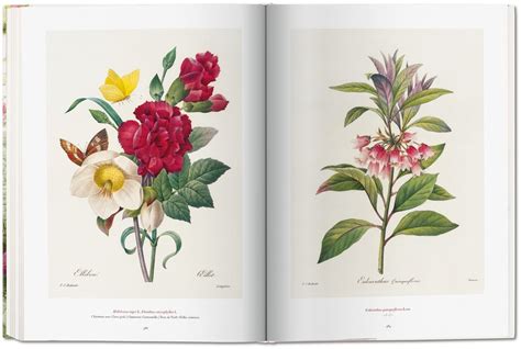 Check spelling or type a new query. Pierre-Joseph Redouté. The Book of Flowers. TASCHEN Books
