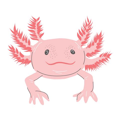 Axolotls Eeek So Cute Ajolote Dibujo Ajolote Ilustraciones De Porn