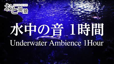 【asmr】「水中スペシャル」水中の音1時間 おと風景 Youtube