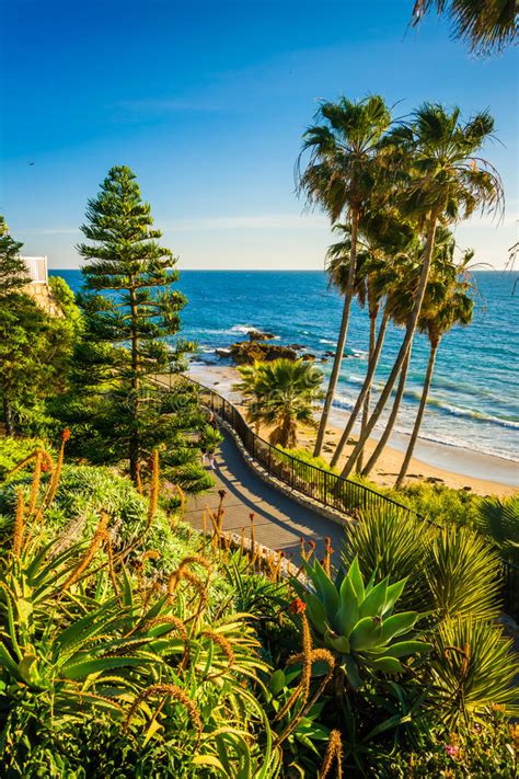 Flowers And View Of The Pacific Ocean At Heisler Park Stock Image