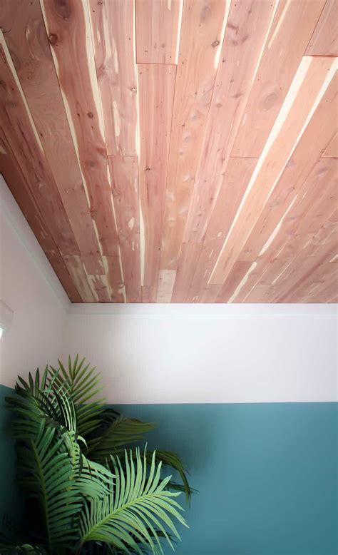 Installing cedar planks on a van ceiling seems like the obvious choice to me. How to hang a cedar plank ceiling over popcorn ceilings in ...