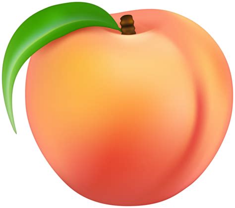 Peach Clip Art Transparent