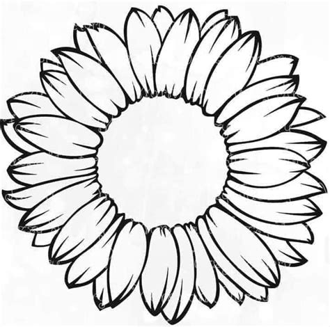 Pin by Brittany Garcia on Sunflower svg | Cricut projects vinyl, Cricut