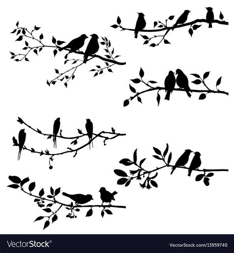 Vector Set Of Birds At Trees Silhouettes Hand Drawn Songbirds At
