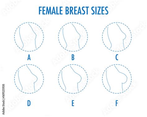 visual breast size comparison