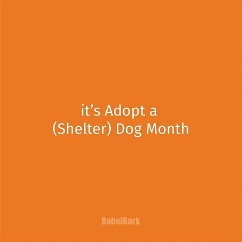 October Is Adopt A Dog Month ⠀ ⠀ Did You Know That One In Every 10