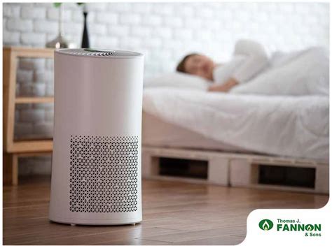 Air Purifiers Vs Allergy Season What You Need To Know