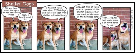 Sharon prushinski, shelter outreach, petfinder. 'Shelter Dogs' Cartoon celebrates our spay neuter fund ...