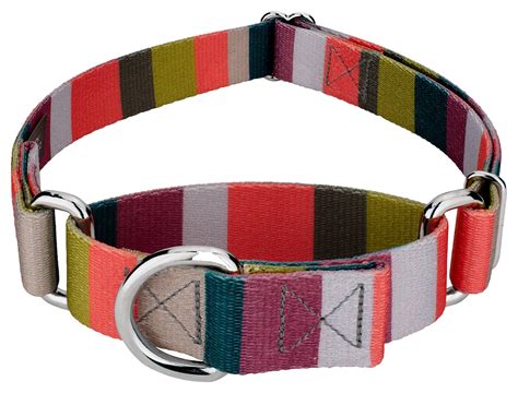 Buy Autumn Stripes Martingale Dog Collar Online