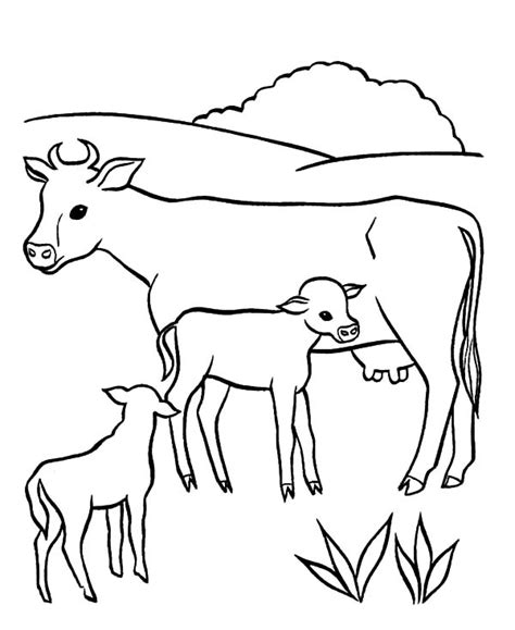Dairy Cow Netart