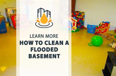 How To Deal With A Basement Flood Clean Up All City Adjusting