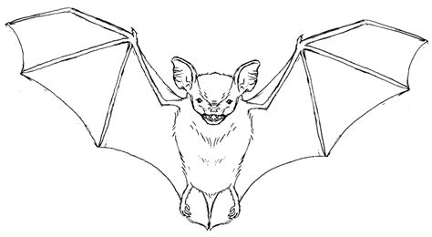 Bat Tattoo Design By Azuresweet On Deviantart