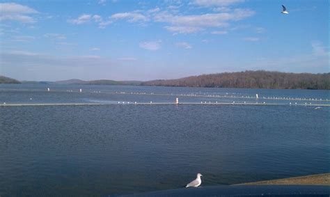 Badin Lake Nc Lake Favorite Places Beach