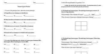 Punnett Square Practice Worksheets with Answer Keys by The Science Lady