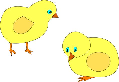 Two Yellow Chickens As An Illustration Free Image Download