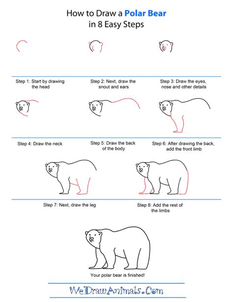 How To Draw A Polar Bear