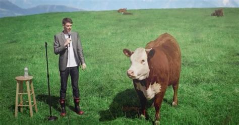 Cow Jokes Fall Udderly Flat In Serious Meat Campaign For New Zealand Jerky